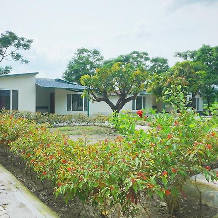 Sukoon - A Wellness Resort, Uttarakhand Chuharpur Luaran gambar