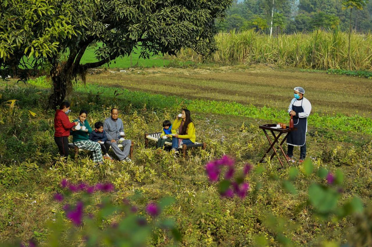Sukoon - A Wellness Resort, Uttarakhand Chuharpur Luaran gambar