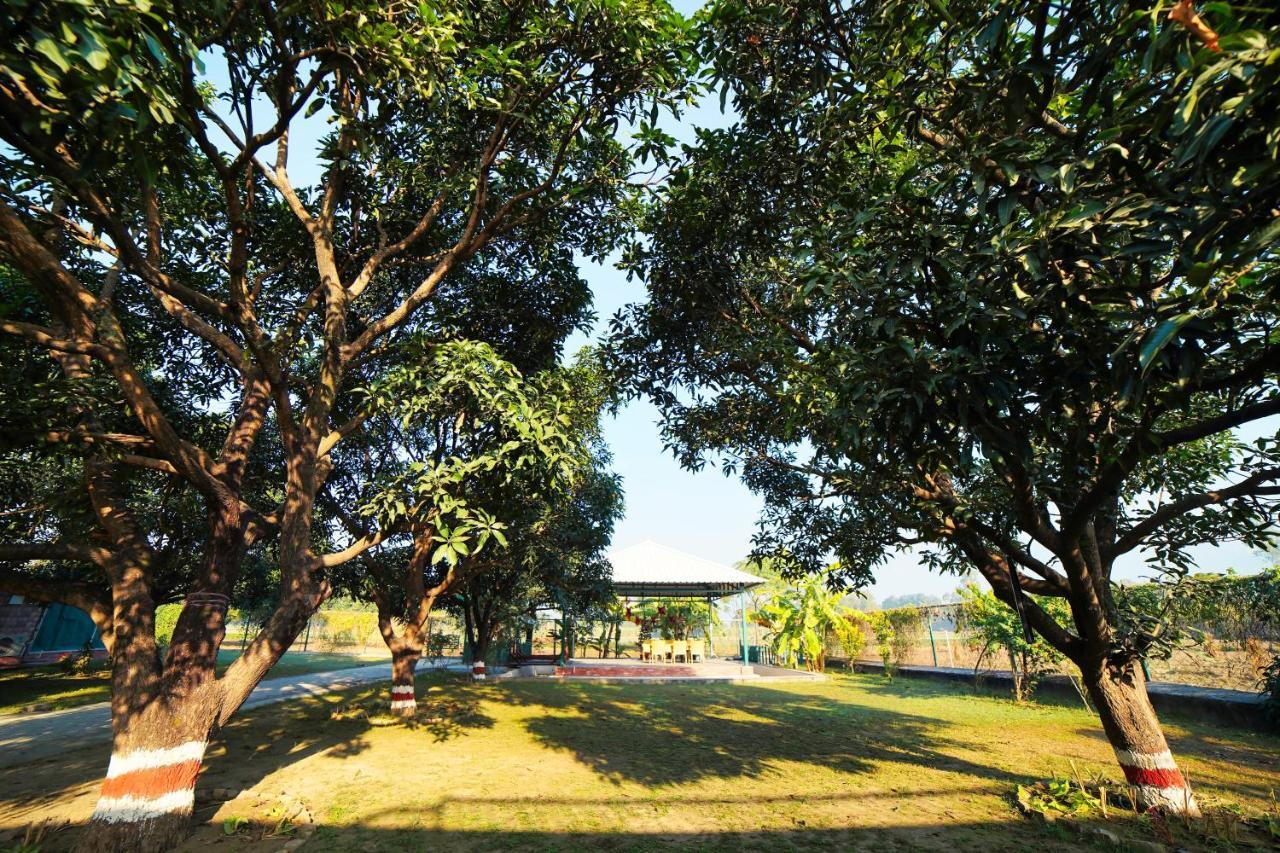 Sukoon - A Wellness Resort, Uttarakhand Chuharpur Luaran gambar
